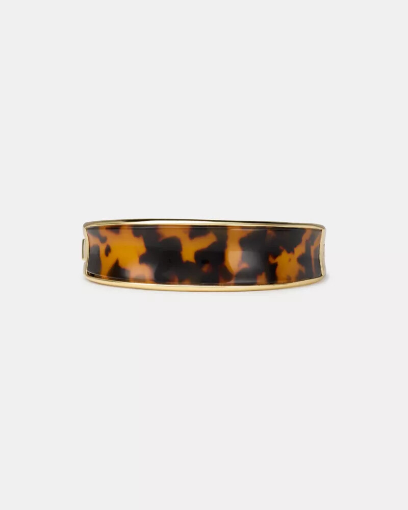 bold bangle tortoise.