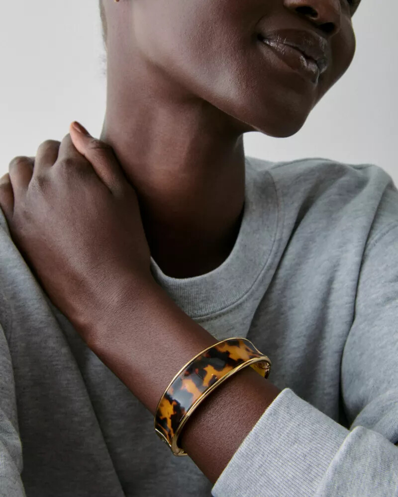 bold bangle tortoise.