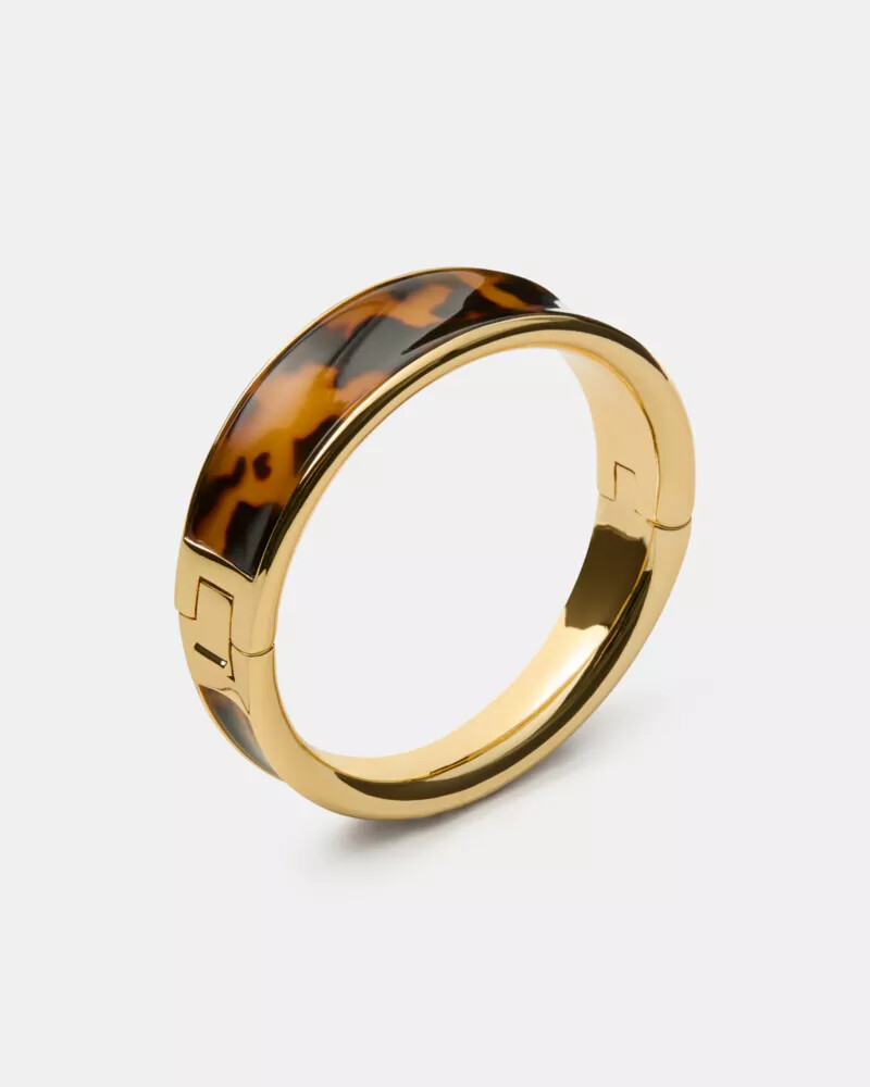 bold bangle tortoise.